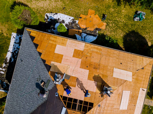 Quick and Trustworthy Emergency Roof Repair Services in Newberry, FL